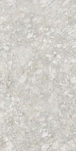 Stone Moon Rock Light Gray 60x120 - фото 1