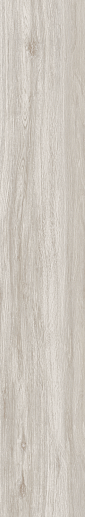 Aspen Ash/19.5x121.5/R - фото 1