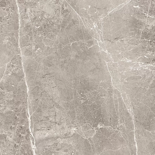 Obsidian Grey Матовый 60x60 - фото 1