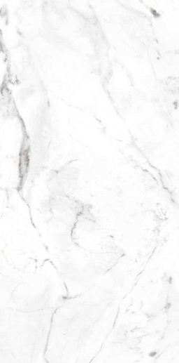Marble Carrara Blanco Liso 60x120 - фото 1