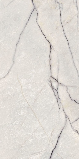 Supreme Treasure Greylac Platinum Lux 60x120 - фото 1