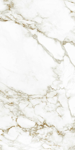Arabescato Gold Matt 60x120 - фото 1