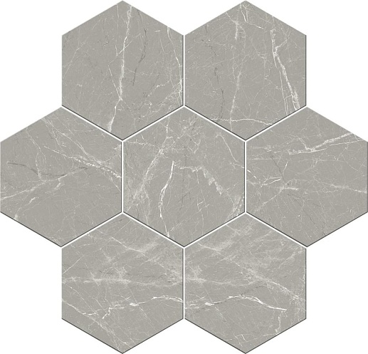 Cosmo Silver 20x24 - фото 1