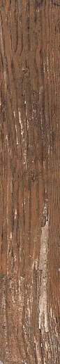 Wood Kiwi Redroot Mat 20x120 - фото 1