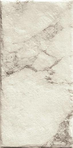 Magistra Classic Paonazzetto 20x40 - фото 1