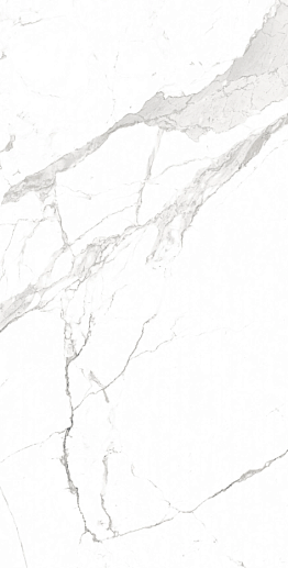 Premium Marble Satvario Carving 60x120 - фото 1