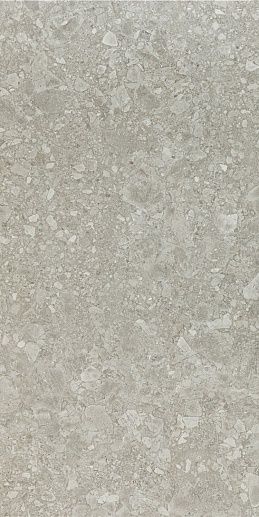 Cr Ceppo Gris 60x120 - фото 1