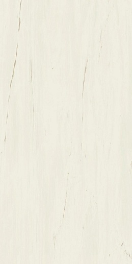 Marvel Stone Bianco Dolomite 60x120 Lappato - фото 1