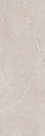 Bleuemix Taupe MATE 40x120 - фото 1