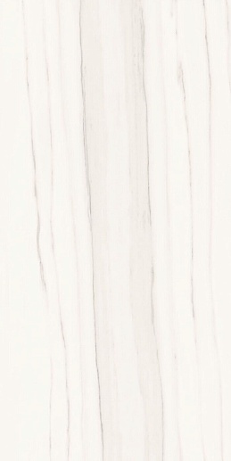 Marmi Classici Zebrino Bianco Lucidato 60x120 - фото 1