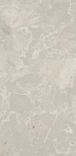 Aurora Taupe Honed Rect. 60x120 - фото 1