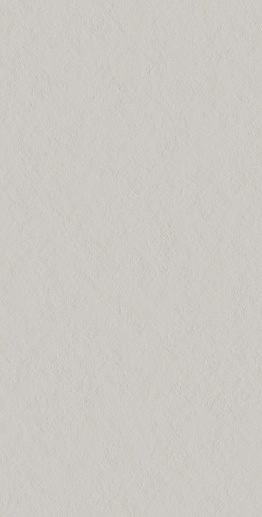 Superclassica SCG Flamed 60x120 - фото 1