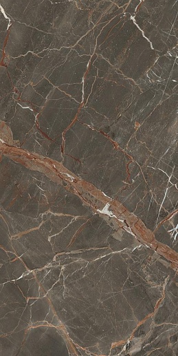 Bari Коричневый 60x120 - фото 1