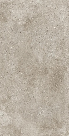 Callisto Silver Карвинг 60x120 - фото 1