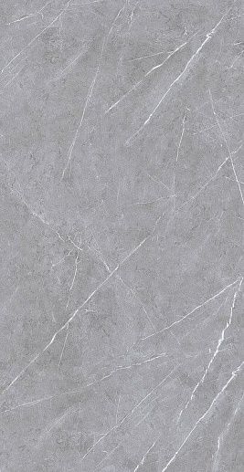 Asmus Grey 60x120 - фото 1