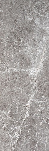 Albury Gray 33.3x100 - фото 1