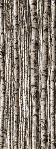 Epoxy Birch 89.8x239.8 - фото 1