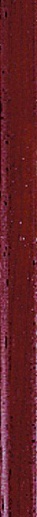 Grand Elegance Colonnina Chiusura Padouk 1x20 - фото 1