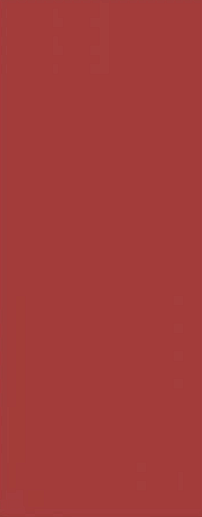 Vela Carmin 20.1x50.5 - фото 1