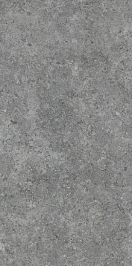 Etienne Grey RC 30x60 - фото 1