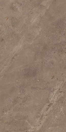 Stone Luish Brown CARV 60x120 - фото 1