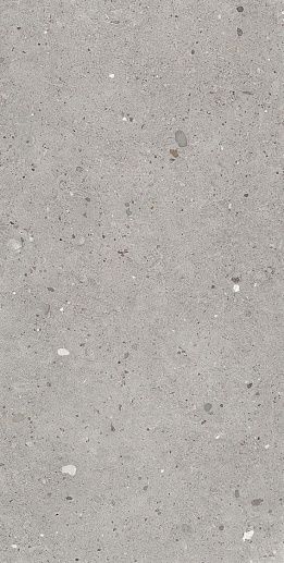 Ego Grigio Nat. Rett 120x60 - фото 1