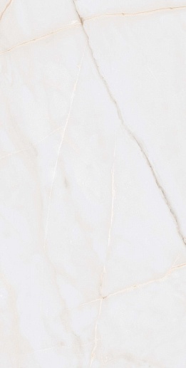 Essenza PW R 60x120 - фото 1