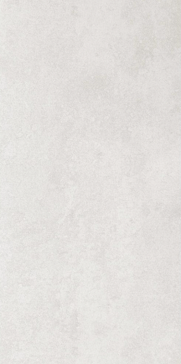 Entina Grey 29.8x59.8 - фото 1