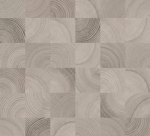 Шиен 2 50x50 - фото 1