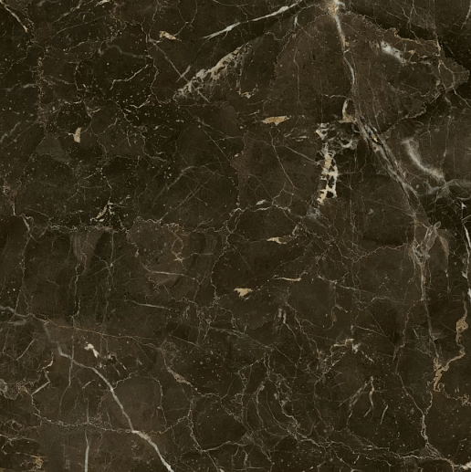 Anima Dark Emperador Rett Lucidato 60x60 - фото 1