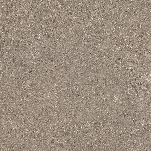 Grain Stone Rough Grain Taupe Nat.60x60 - фото 1