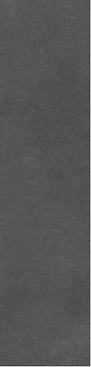 Evoque Coal 29.9x120 - фото 1