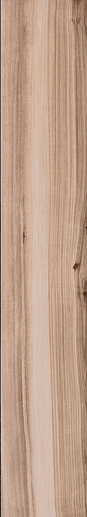 Koru Apricot 20x120 - фото 1