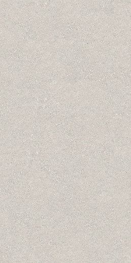 Retrostone Seminato Ash Matt 120x280 - фото 1