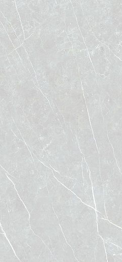 Elite Silver 120x280 - фото 1