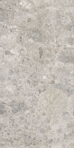 Eterna Mix Gris rett. 60x120 - фото 1