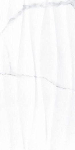 Palmira Rev. Waves New 30x60 - фото 1