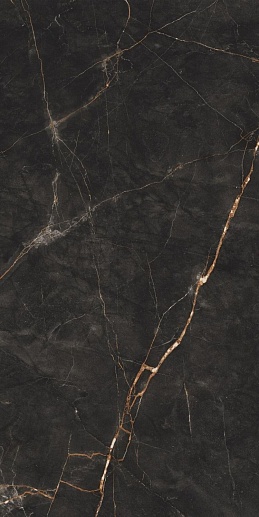 Shinestone Black Pol 59.8x119.8 - фото 1