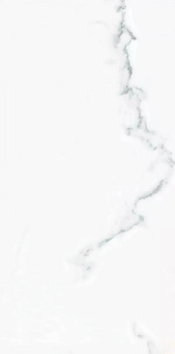 Calacatta Blanco Polished 60x120 - фото 1