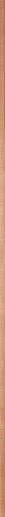 Leonardo Slim Copper 0.8x90 - фото 1