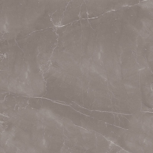 Oasis Armani Gris 60x60 - фото 1