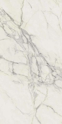 Marvel Wall Calacatta Extra 60x120 - фото 1