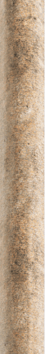 Bolonia Torelo Bolonia Ocre 3x20x3 - фото 1