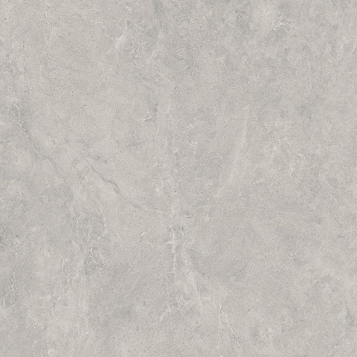 Lightstone Grey Gres Rekt. 59.8x59.8 - фото 1