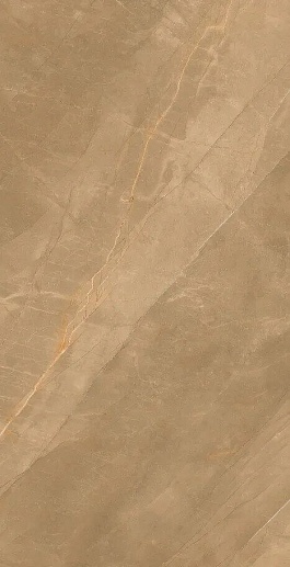 Eco Royalish Brown 9 mm POLI 60x120 - фото 1