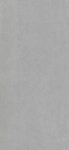 Sandy Grey Light Matt 120x260 - фото 1