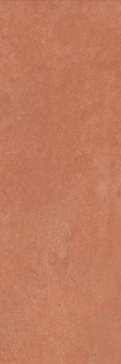 Ekzotic Coral 30x90 - фото 1