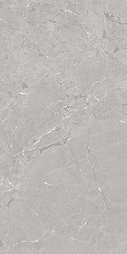Neeko Grey 60x120 - фото 1