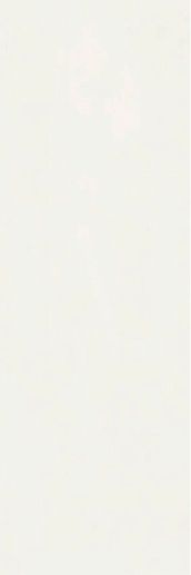 Silken White 25x75 - фото 1