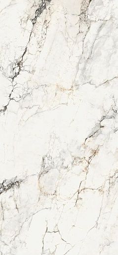 Aesthetica AE PAO6 260 LP 120x260 - фото 1